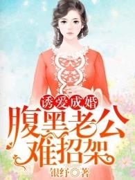 腹黑老公难招架 银纾