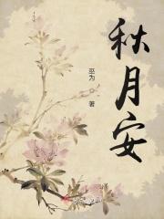 秋月安装上现场直播