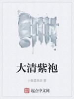 清朝紫袍是几品官服