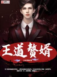 王道龙婿