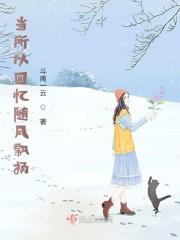 风挽留是什么歌