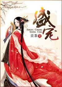 盛宠全文免费阅读