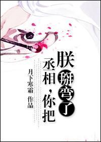 你把朕掰弯了作者月下寒霜