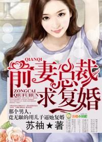总裁前夫求复婚
