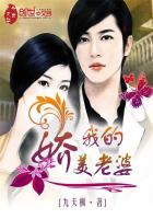 我的娇妻阅读全文原文
