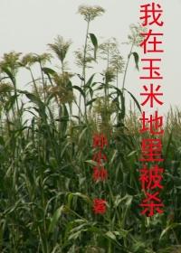 我在苞米地