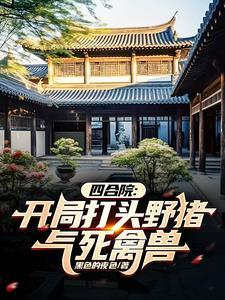四合院开局坑死棒