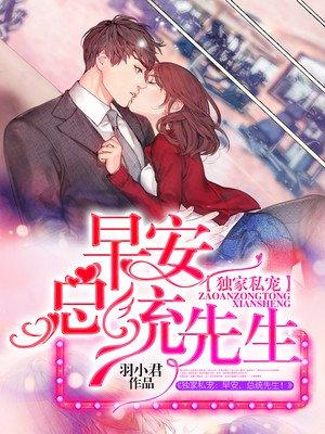 总统大人!全文阅读