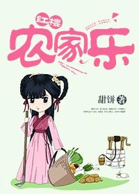 红楼之农家闺秀