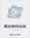 魔法师的???