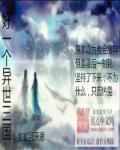 好一个异世三国的