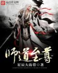 师道至尊电视剧