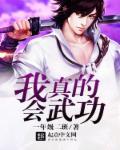 我真不会武功笔趣阁