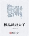 极品太子 百科