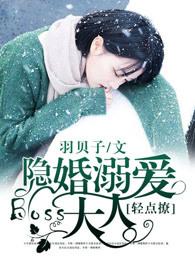 隐婚溺宠总裁大人宠妻