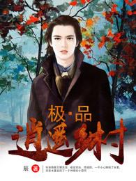 极品逍遥乡村作者陈