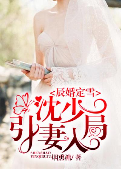 辰少宠妻入骨免费版