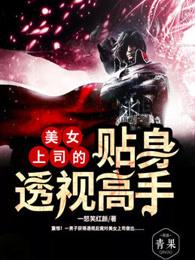 美女总裁的贴身透视高手