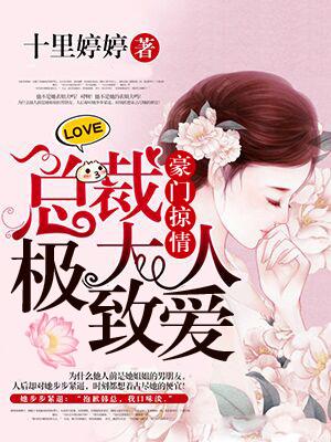 豪门掠情总裁大人极致爱 十里婷婷