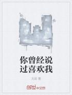 你曾说过的喜欢