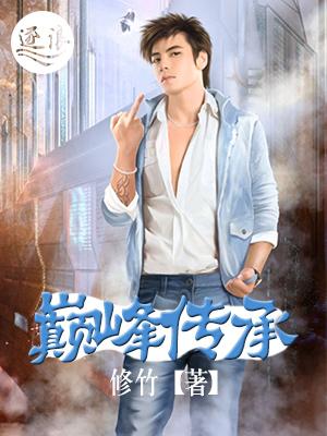 巅峰传承系统 迷糊的新手