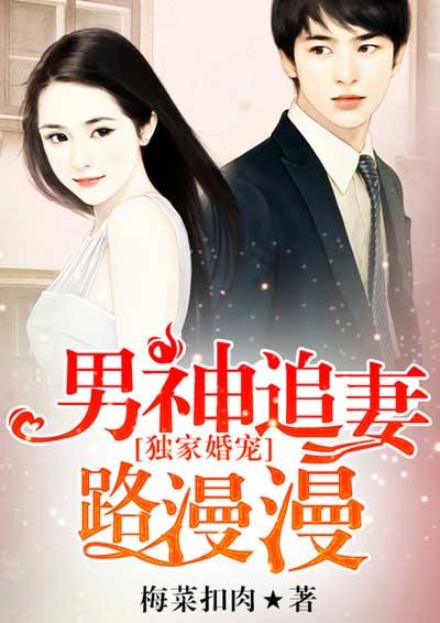 男神的独家恩宠二婚甜妻很抢手