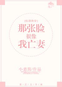 那张脸作文300字