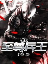 超级至尊兵王 野鹤