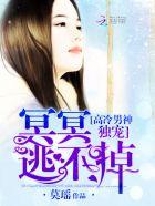 高冷男神的蜜宠免费阅读
