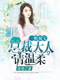 一胎双宝总裁大人夜夜欢_