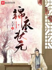 锦衣状元精校版TXT免费