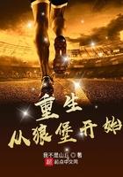 重生从狼堡开始作者我不是山丘