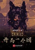 亮剑之开局一个团顶点