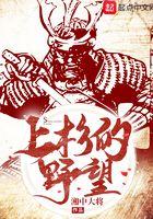 上杉的野望复兴家名