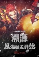 从海贼王开始掠夺本源