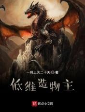 低维造物主 一月上火二十天