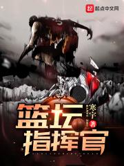 篮坛指挥官免费阅读