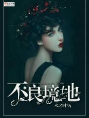 不良之处是什么意思