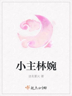主人公是林婉的