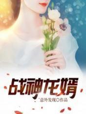 战神龙婿全文免费阅读