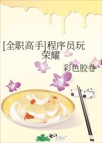 全职高手黑客也玩荣耀免费阅读