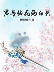 君与梅花同赏