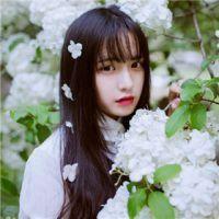 为你开了一扇窗