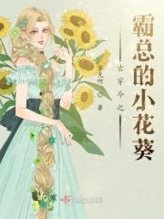 霸道总裁爱上我古装剧