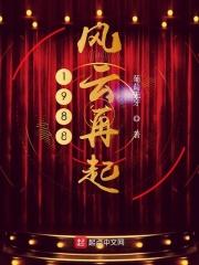 1988风云再起免费观看下集