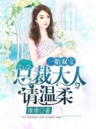 一胎双宝:总裁大人请温柔